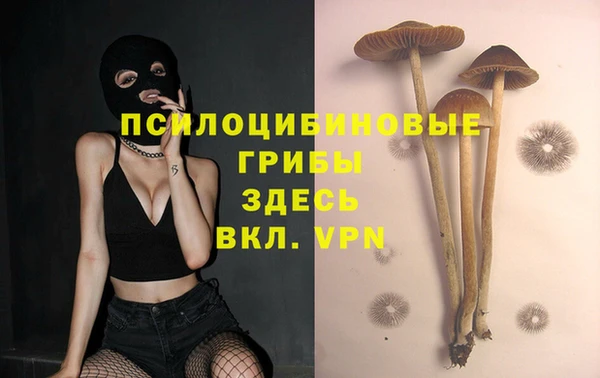 марихуана Абинск