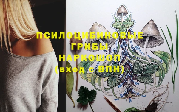 ПСИЛОЦИБИНОВЫЕ ГРИБЫ Алзамай
