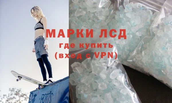 СК Алексин