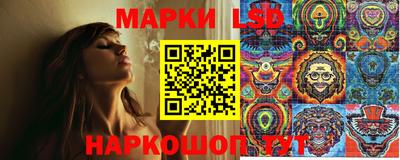 jwh Ставрополь