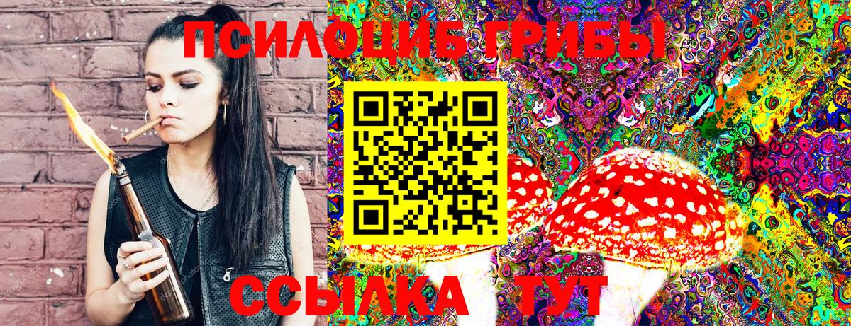 Новоуральск  где продают   Вход с VPN  Псилоцибиновые грибы Magic Shrooms 
