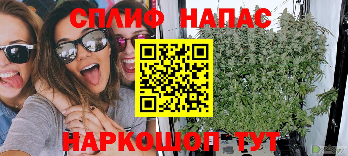 Каннабис конопля  МАРИХУАНА планчик  Бошки Шишки план  Новоуральск  Вход с VPN 